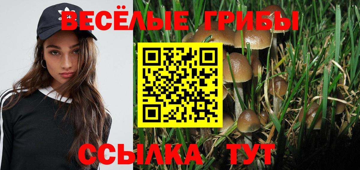 Галлюциногенные грибы Psilocybe  Вход с VPN  Боровичи 